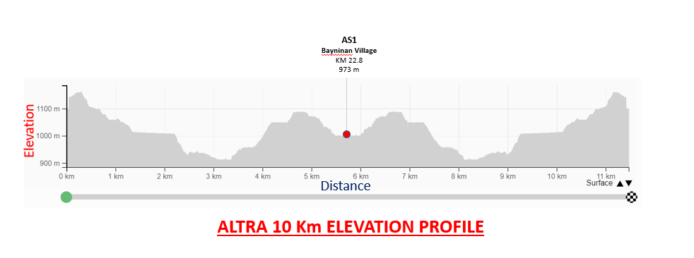 elevation profile 10k